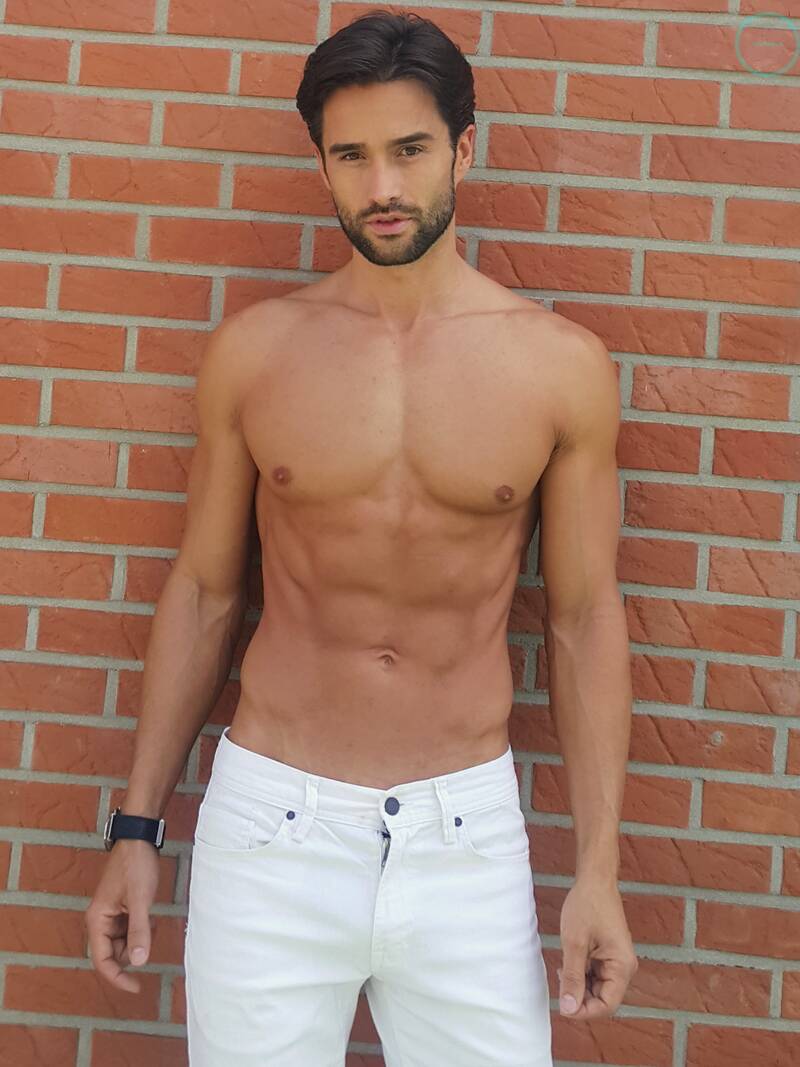 robert model