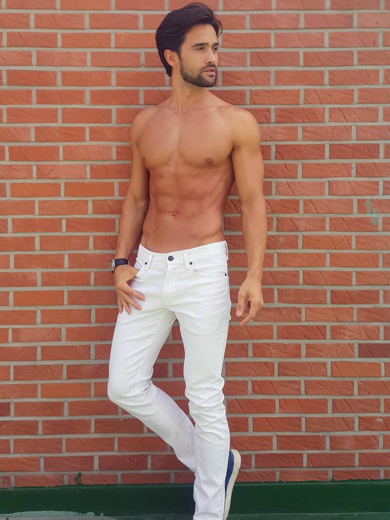 robert model