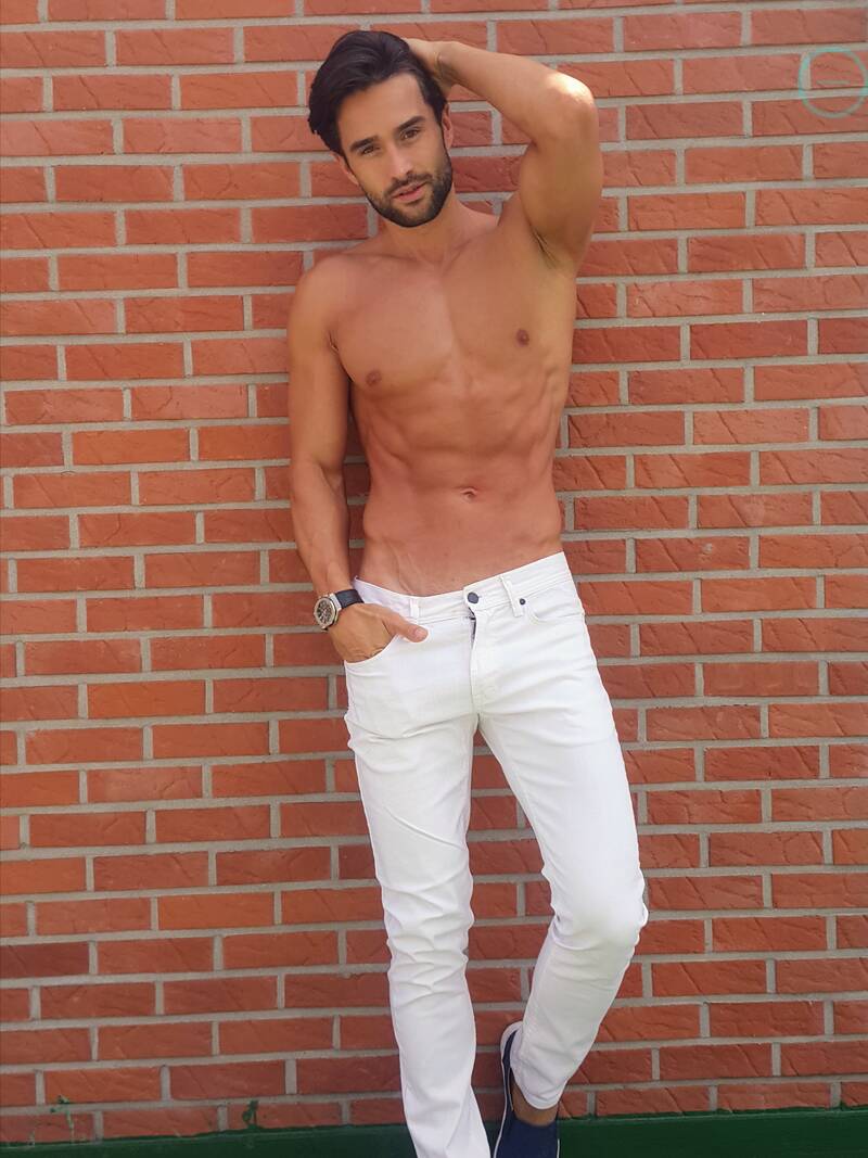 robert model