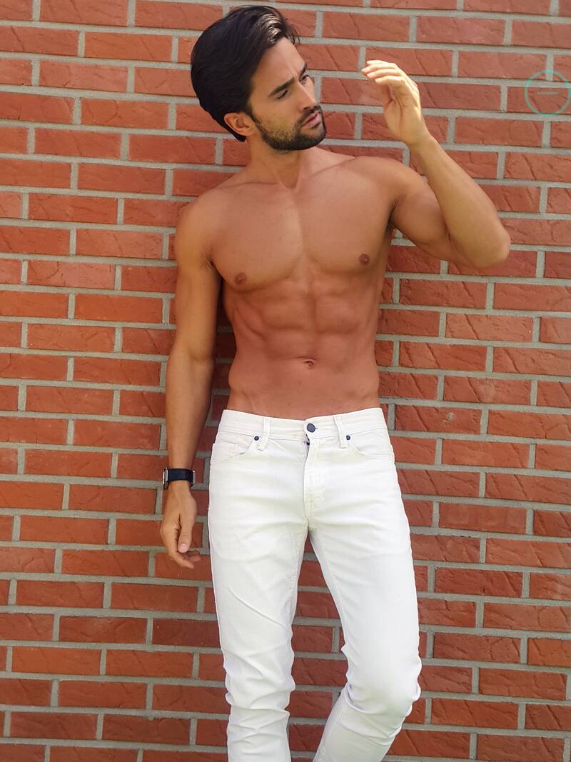 robert model